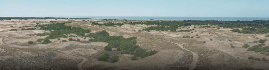 Costa Dunas